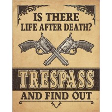 Is There Life After Death Tin Sign